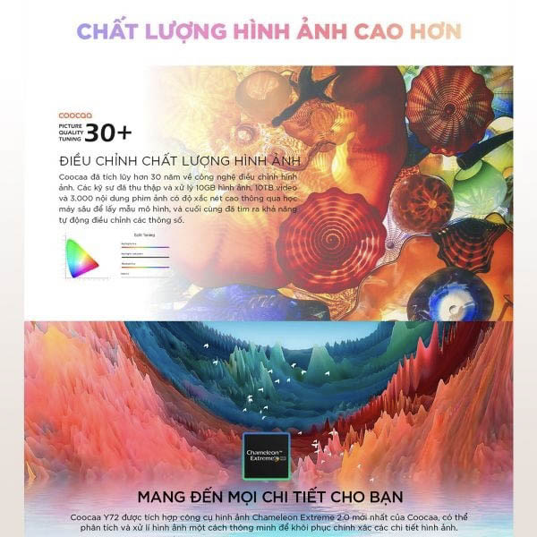 Hình ảnh rõ đến từng chi tiết nhờ đó phân giải 4K