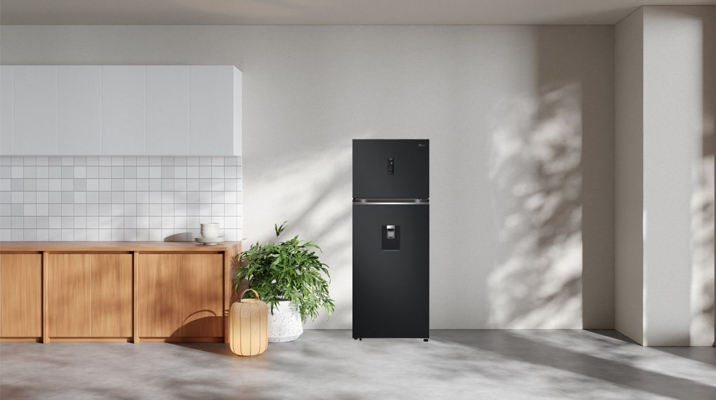Tổng quan thiết kế Tủ lạnh LG LTD46BLMA