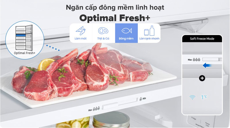 Optimal Fresh điều chỉnh với 4 chế độ linh hoạt